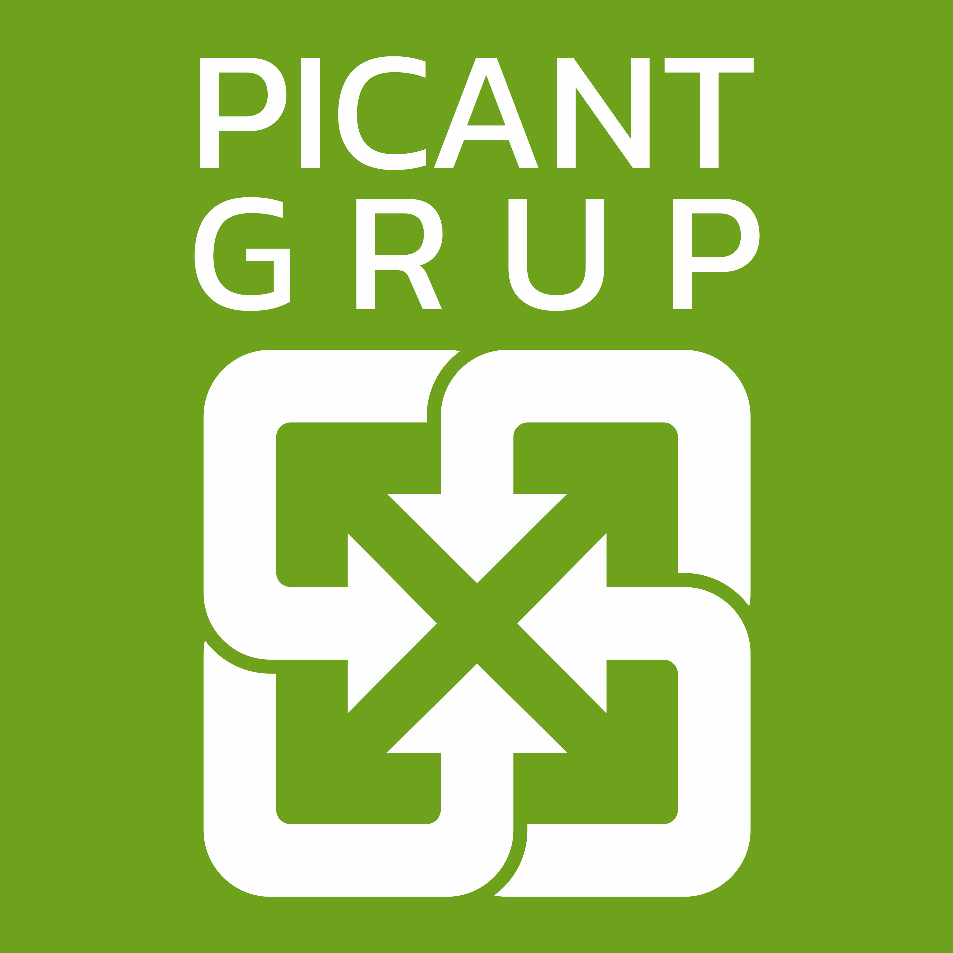 Fier Vechi Buzau – PICANT GRUP Logo
